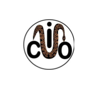 carnaval-inter-ouidah-logo